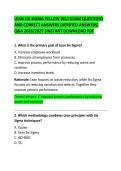 Lean Six Sigma Yellow Belt Exam Questions and Correct Answers &ndash; 100 Practice Questions
