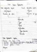 Human reproduction - Biology 