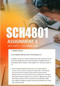 SCH4801 Assignment 3 Semester 2 2026 - Due 1 October 2026