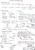 Human Reproduction&comma; 