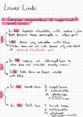 Complete Lower limb anatomy notes