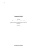 Essay NR500 