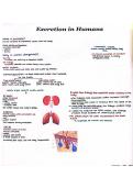 Biology &lpar;Grade 9&rpar; Topics&colon; pH and Enzyme&comma; Stem Cells&comma; Enzyme Function&comma; The urinary system&comma; Excretion in Humans