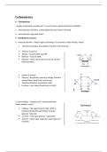 Carbohydrates &lpar;english version&rpar;