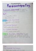 document-image
