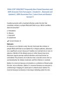 FINAL CCHT Frequently Most Tested Questions and 100&percnt; Accurate From Past papers &vert; Graded A&plus; &comma; Reviewed and Updated &vert; 100&percnt; Guarantee Pass &vert; Latest Exam and Newest Version&excl;&excl;&excl;ACTUAL EXAM COMPLETE QUESTIONS AND CORRECT DETAILED ANSWERS &lpar;2026&sol;2027 FREQUENTLY TE