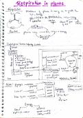 Class 11 biology&colon; respiration in plants &lpar;complete notes&rpar;