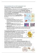 Samenvatting Biologie H14-H15 &vert; Zenuwstelsel &vert; VWO &vert; 2026&sol;27