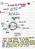HUMAN EYE AND THE COLOURFUL WORLD 