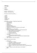Document preview thumbnail