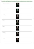 Anatomy & Physiology Skeletal System &vert; Bones&comma; Joints & Practice Questions &vert; Exam Prep 2026&sol;2027