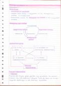 Biologie Nectar Vwo 6 samenvatting hoofdstuk 16 Ecosysteem en kringloop 