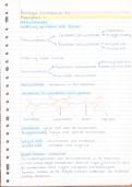 Biologie Nectar vwo 5 samenvatting hoofdstuk 13 Zenuwstelsel 