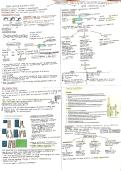 Grade 12 IEB Life sciences DNA&comma; genetics and genetic engineering summary according to SAGS&period;