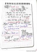 Document preview thumbnail