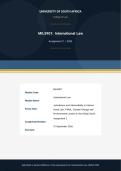 MIL5901 Assignment 2 Semester 2 2026 Due 15 September 2026