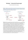 Histologie Examenvragen met Antwoorden &vert; KU Leuven &vert; 2026&sol;27