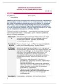 Samenvatting Sociale en Politieke Leerstelsels &vert; Zemni &vert; UGent &vert; 2026&sol;27