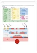 LIFESCI 7A Midterm 2 Exam &vert; Questions and Answers &vert; 2026&sol;27 Updated &vert; 100&percnt; Correct - UCLA&period;