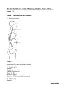 Marieb Human Anatomy & Physiology &ndash; 12th Edition &ndash; Hoehn&comma; Haynes & Abbott &vert; Complete Test Bank