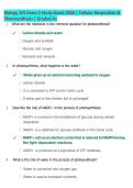 Biology 101 Exam 2 Study Guide 2026 &vert; Cellular Respiration & Photosynthesis &vert; Questions & Answers &vert; Latest Update &vert; Grade A&plus;