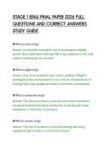 Document preview thumbnail