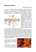 Document preview thumbnail