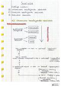 document-image