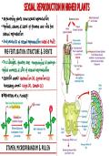 Sexual Reproduction in Higher Plants&colon; Quick Revision