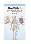 Anatomy and Physiology Test Bank & Verified MCQs &lpar;Complete Exam Prep Guide&rpar;