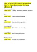 Bio220 - Chapter 15 - Brain and Cranial Nerves Exam Questions & Answers &lpar;Grade A&plus;&rpar;&period;docx&NewLine;&NewLine;