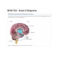 BIOD 152 Exam 2 Diagrams Questions & Answers &vert; Anatomy & Physiology &vert; Portage Learning &vert;