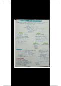 Ncert based&comma;neat handwriting&comma; useful for last minute revision&period;