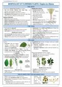 Class notes Biology 
