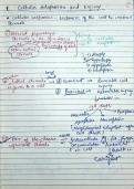 Class notes Kam30  Robbins Pathology- Robbins&comma; Cotran & Kumar Pathologic Basis of Disease