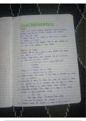 Handwritten notes