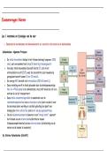 Alle Uitgewerkte Examenvragen Nieren t&period;e&period;m&period; 2025 &vert; Fysiologie & Pathofysiologie &vert; VUB &vert; 2025&sol;26