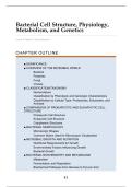 Bacterial Cell Structure & Genetics &vert; Biology &vert; VWO &vert; 2026&sol;27