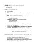 Resumen -  Spanish Language and Literature
