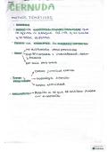 Resumen -  Spanish Language and Literature