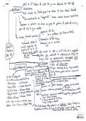 Resumen -  Spanish Language and Literature
