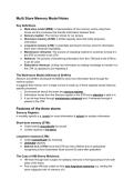 Memory Lesson 2- Multi Store Model AQA A Level Psychology  Revision Notes