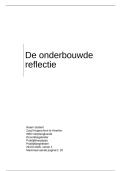 Onderbouwde Reflectie bij DM2&comma; Parkinson en CVI