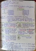 Meiosis Short Summary Class XI biology