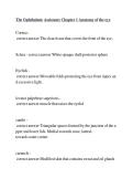 Ophthalmic Assistant Chapter 1 &vert; Anatomy of the Eye Study Guide & Exam Review