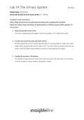 Lab 14&colon; The Urinary System &ndash; BIO202L &ndash; Biology Laboratory &ndash; Lab Study Guide