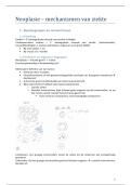 Document preview thumbnail