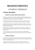 Apuntes Bioqu&iacute;mica   Medical Biochemistry