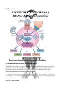 Resumen Medical Biochemistry -  Bioqu&iacute;mica 
