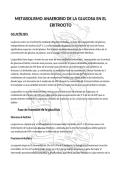 Resumen Medical Biochemistry -  Bioqu&iacute;mica 